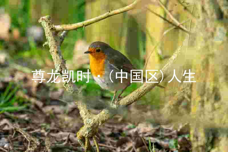 尊龙凯时·(中国区)人生