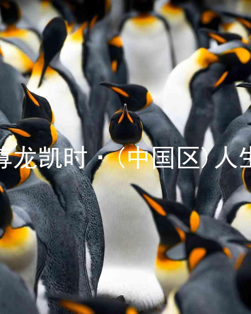 尊龙凯时·(中国区)人生